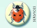 Services American cockroach illustration button